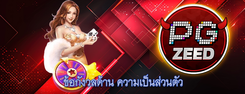 ข้อกังวลด้าน ความเป็นส่วนตัว