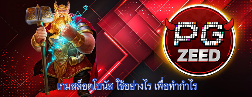 เกมสล็อตโบนัส ใช้อย่างไร เพื่อทำกำไร